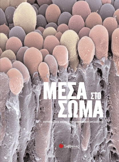 Μέσα στο σώμα π5