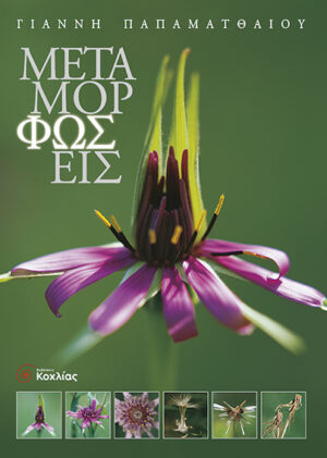 Μεταμορφώσεις(αγριολούλουδα)Παπαματθαίου