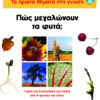 Πώς μεγαλώνουν τα φυτά; 2 (πρώτα βήματα γνώση) π1