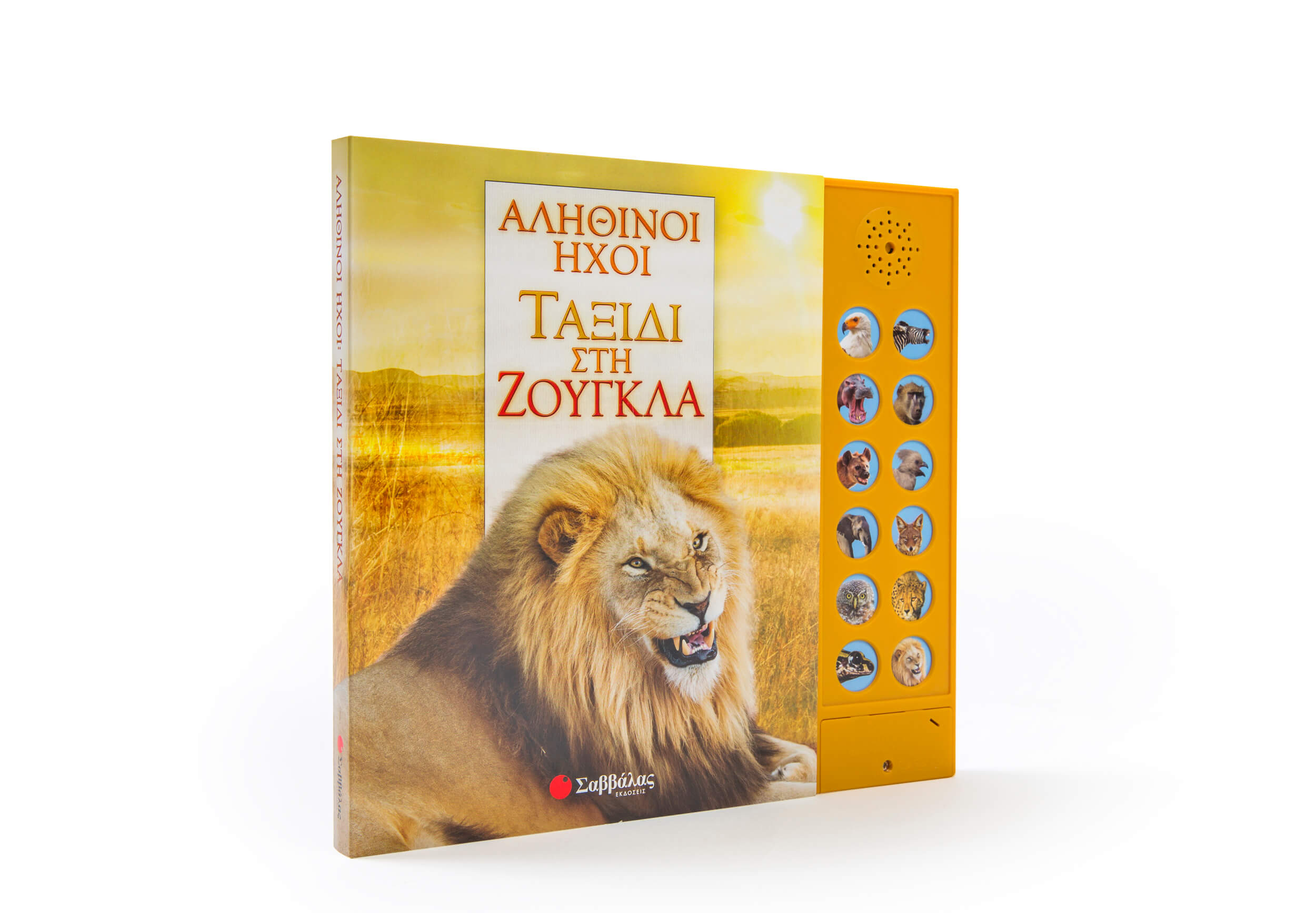 ΑΛΗΘΙΝΟΙ ΗΧΟΙ: ΤΑΞΙΔΙ ΣΤΗ ΖΟΥΓΚΛΑ