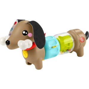 FISHER-PRICE - ΣΚΥΛΑΚΙ ΔΡΑΣΤΗΡΙΟΤΗΤΩΝ - HTW91