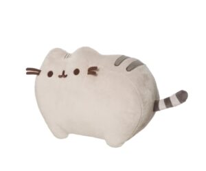 CLASSIC PUSHEEN 24 ΕΚ. ΛΟΥΤΡΙΝΟ