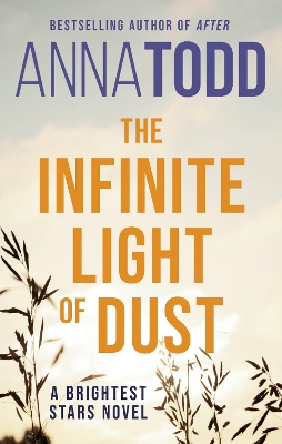 THE INFINITE LIGHT OF DUST