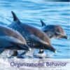 ORGANIZATIONAL BEHAVIOR 19TH ED