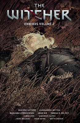 WITCHER OMNIBUS VOLUME 2, THE