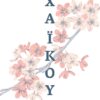 ΧΑΙΚΟΥ