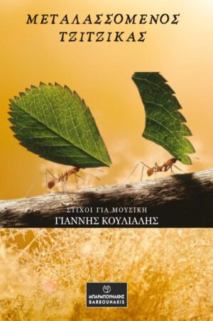 ΜΕΤΑΛΑΣΣΟΜΕΝΟΣ ΤΖΙΤΖΙΚΑΣ ΣΤΙΧΟΙ ΓΙΑ ΜΟΥΣΙΚΗ