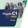 PROJEKT C1 GLOSSAR NEU