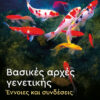 ΒΑΣΙΚΕΣ ΑΡΧΕΣ ΓΕΝΕΤΙΚΗΣ ΕΝΝΟΙΕΣ ΚΑΙ ΣΥΝΔΕΣΕΙΣ