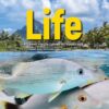 LIFE UPPER-INTERMEDIATE SB ( + SPARK) BRIT. ED